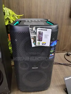 Hisense 300 Watts Party Rocker