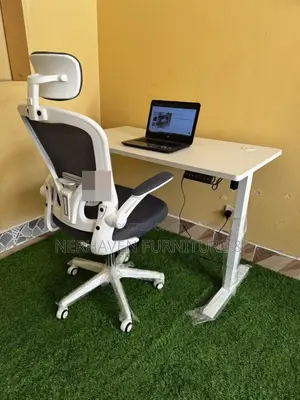 Combo Ergonomic Chair and Electric Desk