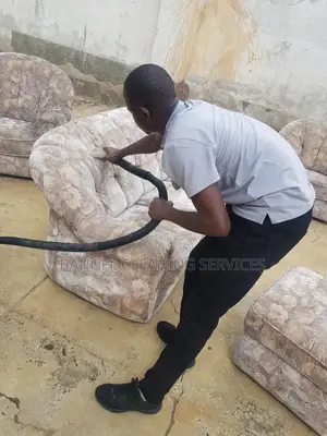 Sofa Cleaning and Pest Control
