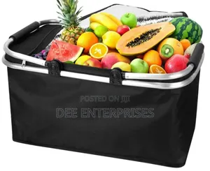Picnic Foldable Insulated Portable Bag