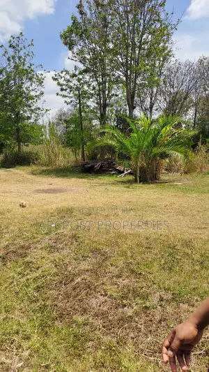 1/8 Acre Plot for Sale – Vet, Ngong (Near Kerarapon, Gated Community)