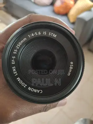 Canon 55-250mm F4-5.6