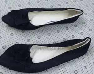 Simple Shallow Mouth Pointed Ladies Shoe Casual Wear