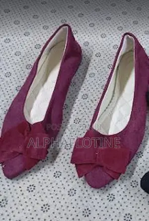 Black Ballet Flatspointed Toe Flat Closed Toe Ladies Shoe