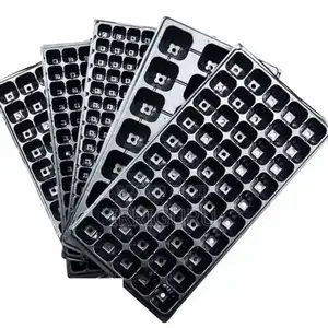 Seed Trays