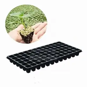 Trays for Irrigation