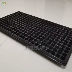 Quality Trays