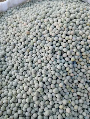Grano Planting Peas Seeds. 10 KGS