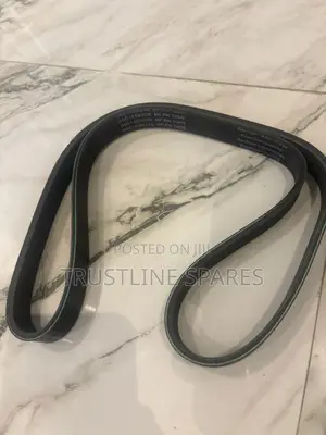 Alternator Belt Vw