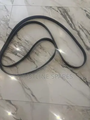 Alternator Belt