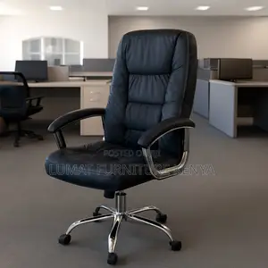 Ergonomic Director’S Chair