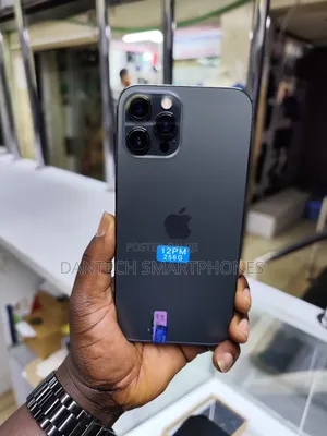 Apple iPhone 12 Pro Max 256 GB Gray