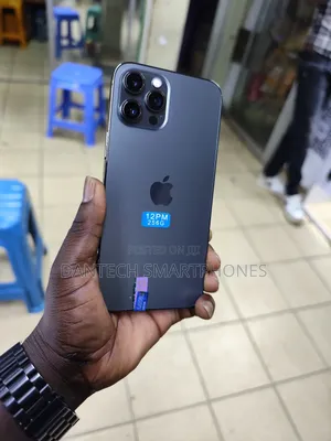Apple iPhone 12 Pro Max 256 GB Gray