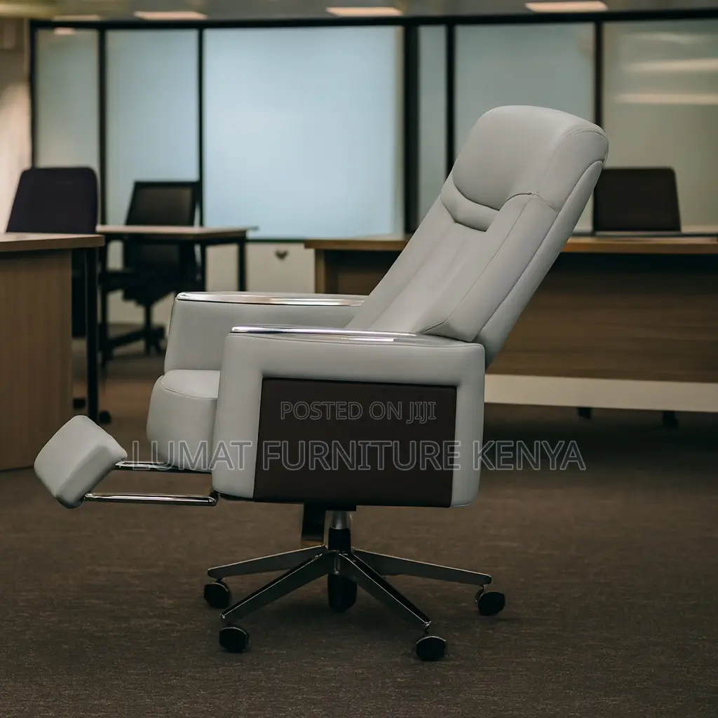 Executive Government Official Office Seat