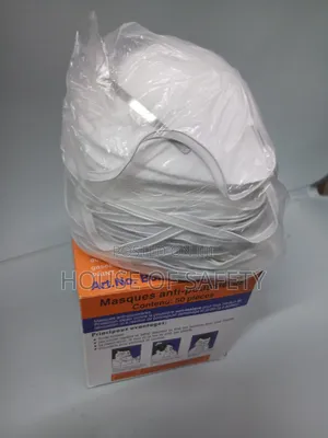 Toxic Dust Masks