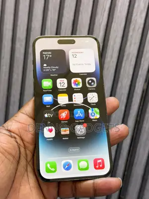 Apple iPhone 14 Pro Max 256 GB Gray
