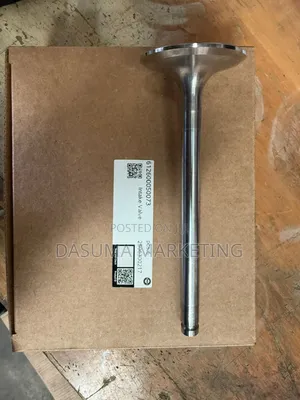 Weichai Intake Valve (2-Valve Engine) 