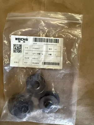 Weichai Lower Seat Intake Valve Spring (2-Valve Engine)
