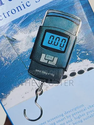 Portable Electronic Scale Upto 50kg