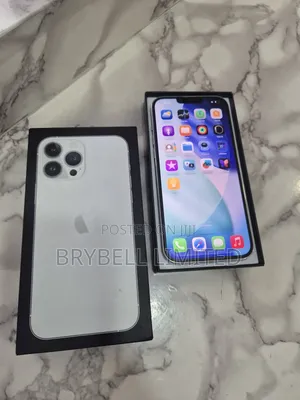 Apple iPhone 13 Pro Max 256 GB Silver