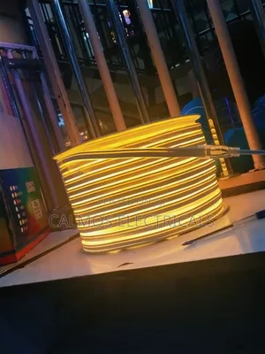 Neon Snake Lights