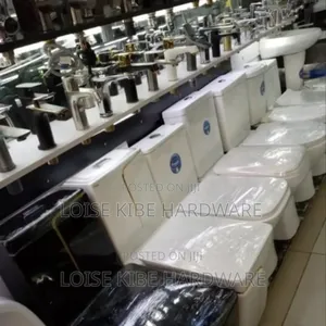 Master Bedroom Toilet Available Black And White