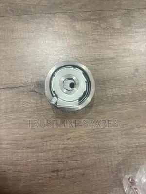 Audi Belt Tensioner