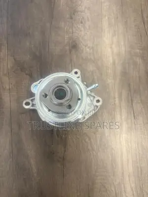 Water Pump Vw
