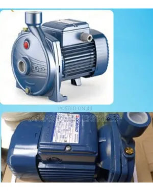 Pedrollo Centrifugal Water Pump