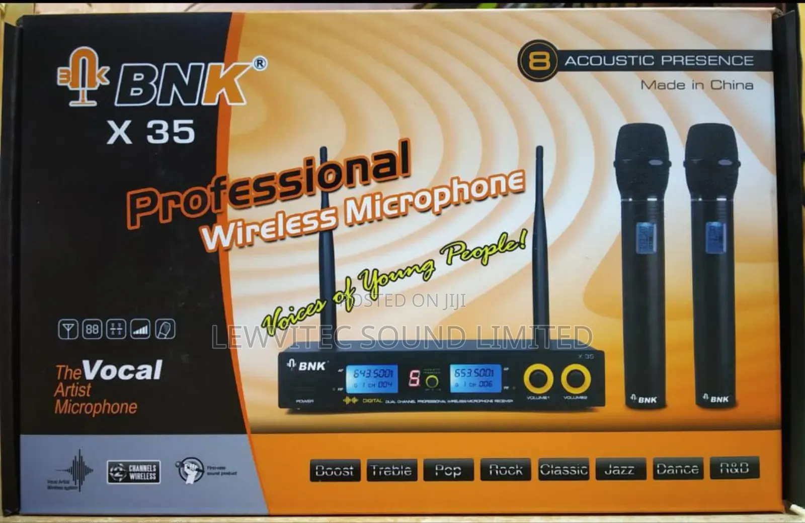 Bnk Professional Microphone