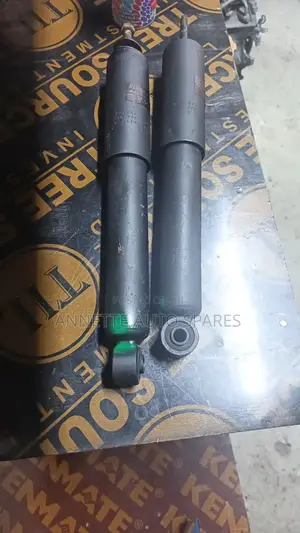 Isuzu Trooper Shocks