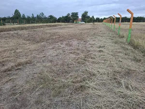 50 by 100 Joska Plot for Sale
