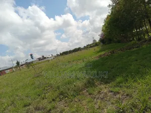 2.7 Acres of Land in Kamulu, Kingoris