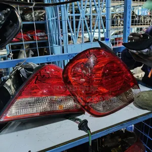 Nissan N16 Sylphy Backlight