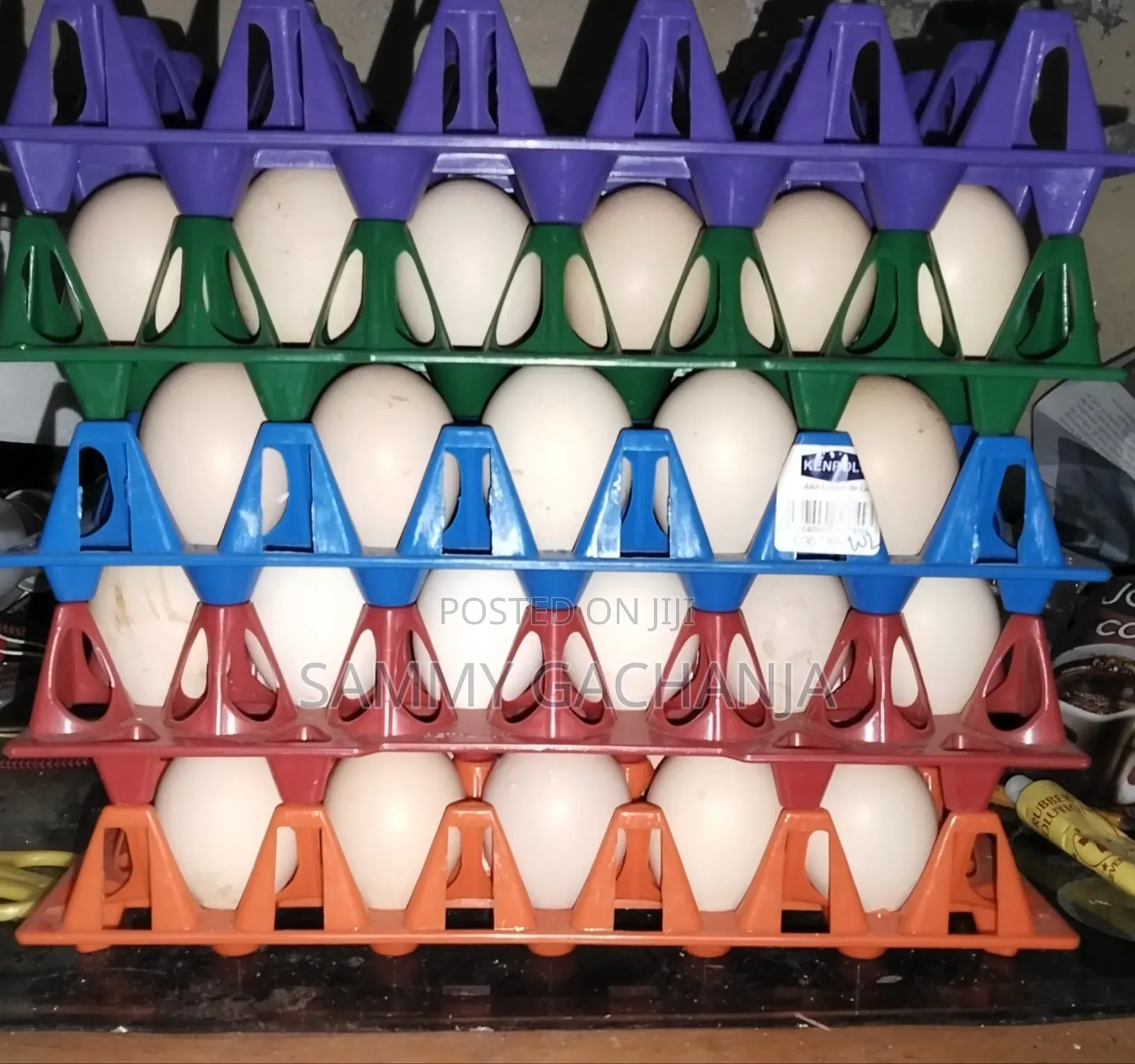 Fertilized Sasso F1 Eggs