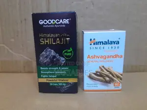 Ashvagandha Shilajit—Adaptogenic and Antioxidants Properties