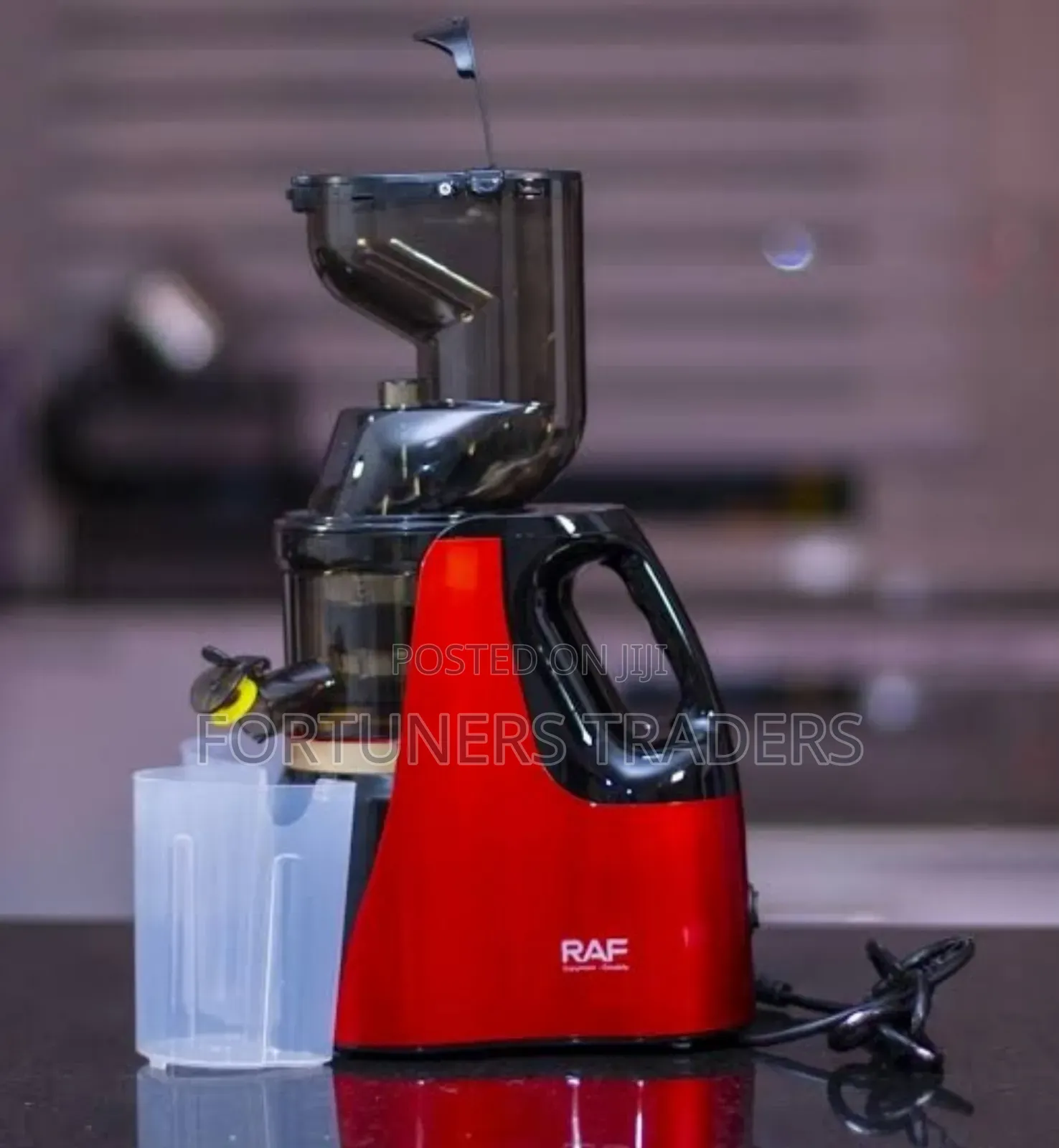 Raf Electric Slow Juicer Extractor
