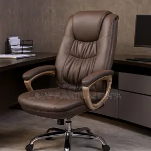 Office Ergonomic Seat