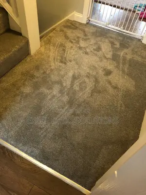 Premium Comfy Wall to Wall Carpet _ Warm Fluffy Flooring