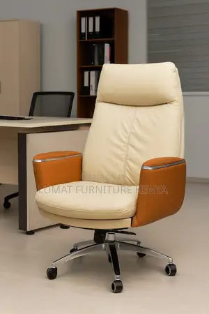 Director’S Executive Office Chair