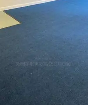 Comfortable Delta Wall to Wall Carpet