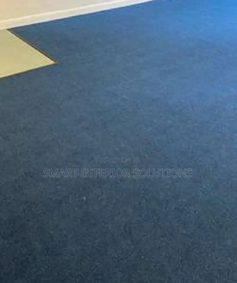Comfortable Delta Wall to Wall Carpet