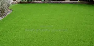 Studio Artificial Grass Carpet Now in Tsavo Road, Odeon