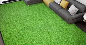 Affordable Synthetic Turf Carpet for Indoors– Tsavo Road, Odeon