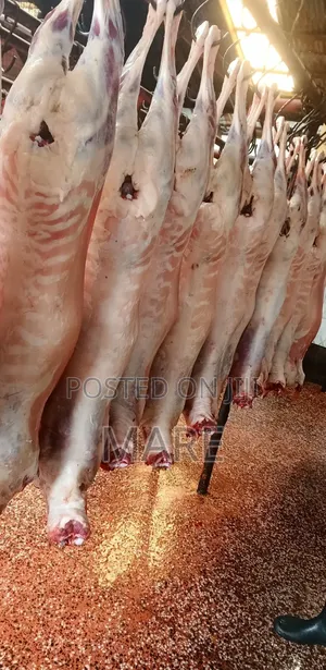 Mares Meat