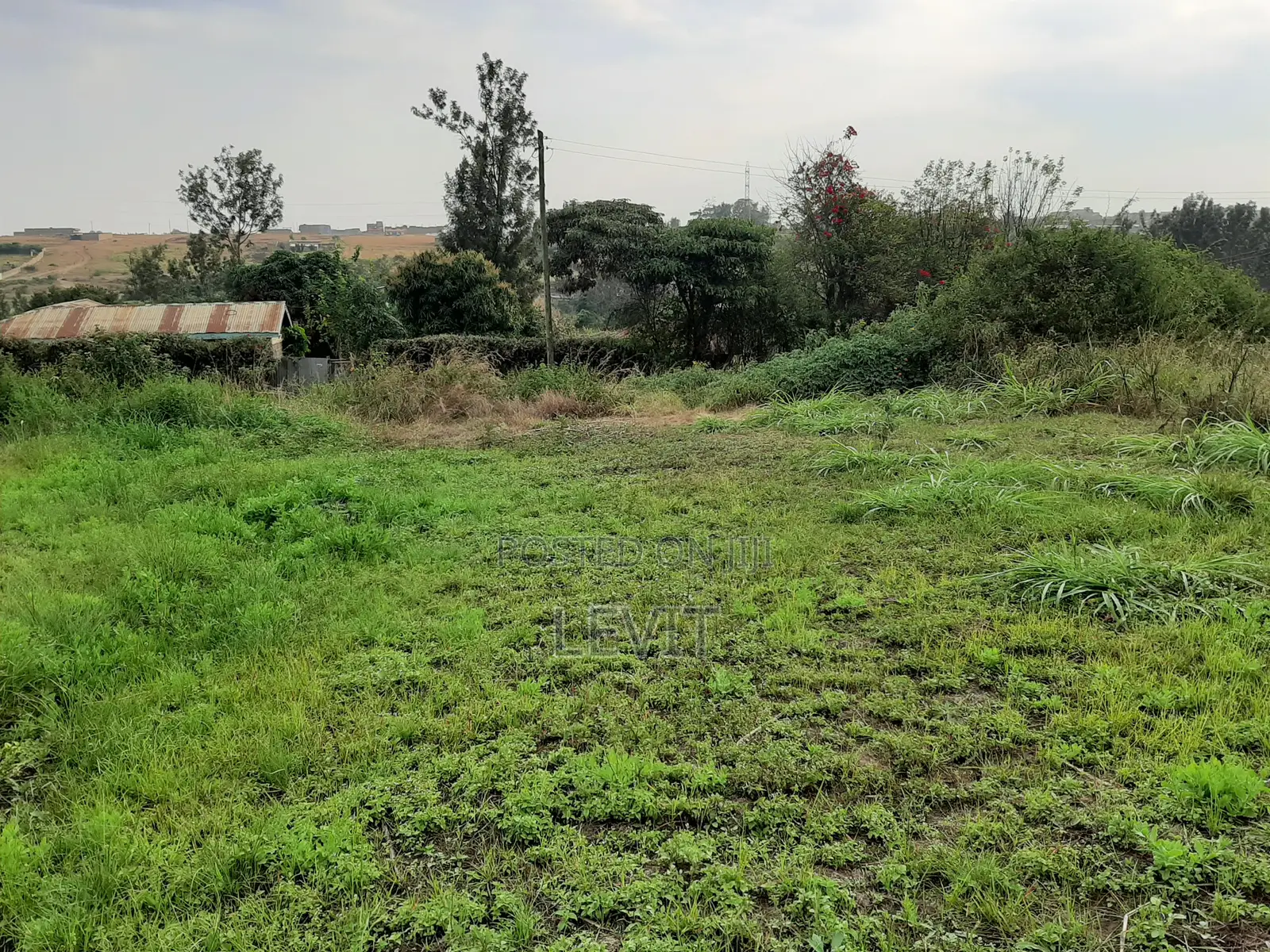 Athena Thika Plot on Offer