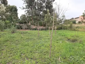 Athena Thika Plot on Offer