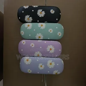 Eyes Glasses Case