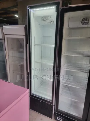 600l Free Standing Chiller