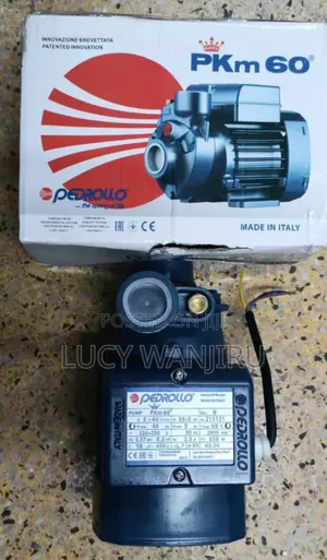 Pedrollo.05hp Water Pump